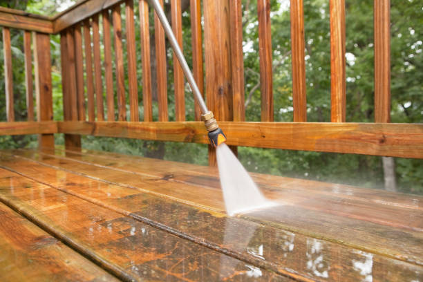 Best Exterior Home Cleaning  in Waterloo, IA