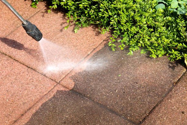 Deck Cleaning Services in Waterloo, IA